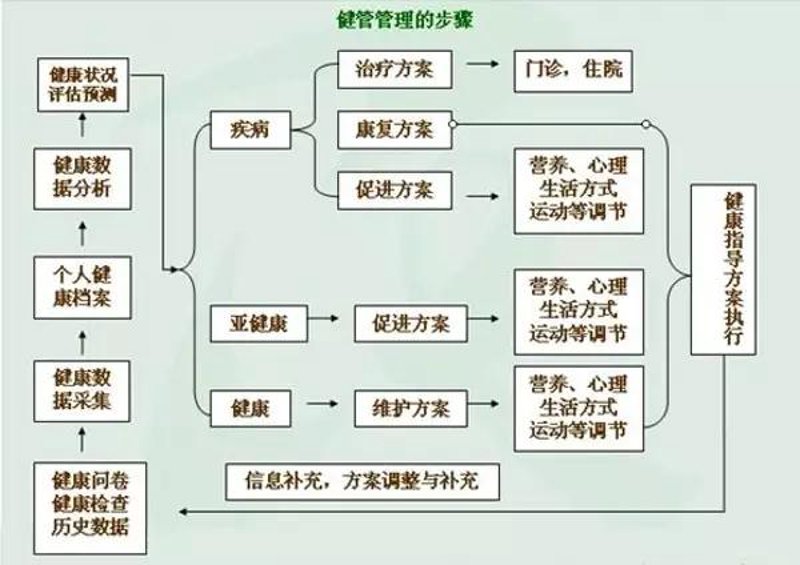 企业健康管理：构筑员工健康的坚实保障